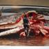 Walvismuseum Sao Roque: zo bloederig ging het er aan toe